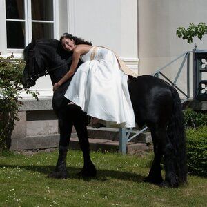 Eden Bridals - White Gold - Wedding Dress - Size 6